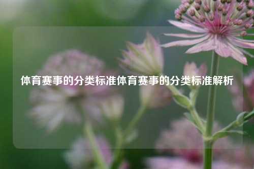 体育赛事的分类标准体育赛事的分类标准解析