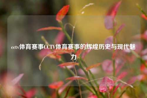 cctv体育赛事CCTV体育赛事的辉煌历史与现代魅力