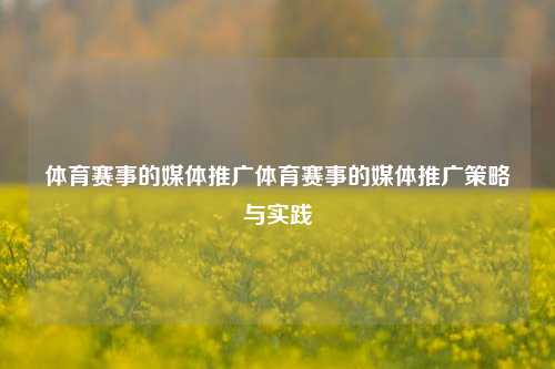 体育赛事的媒体推广体育赛事的媒体推广策略与实践
