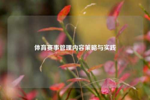 体育赛事管理内容策略与实践