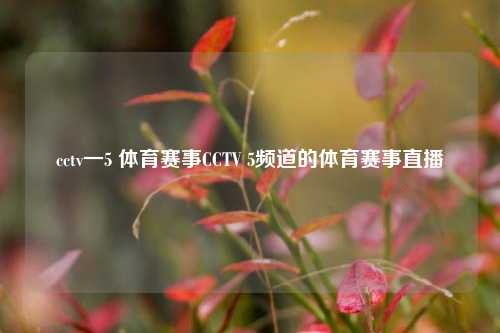 cctv一5 体育赛事CCTV 5频道的体育赛事直播
