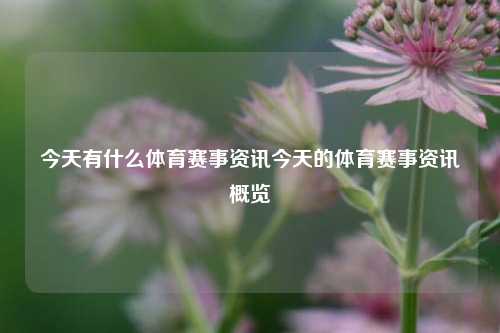 今天有什么体育赛事资讯今天的体育赛事资讯概览