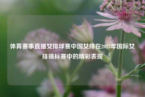 体育赛事直播女排球赛中国女排在2023年国际女排锦标赛中的精彩表现