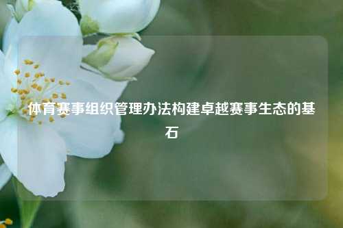 体育赛事组织管理办法构建卓越赛事生态的基石