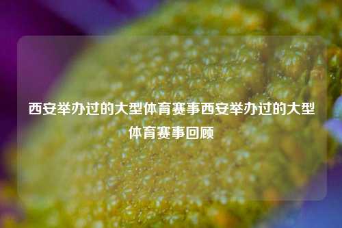 西安举办过的大型体育赛事西安举办过的大型体育赛事回顾