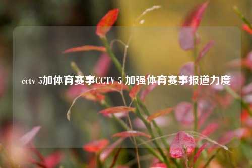 cctv 5加体育赛事CCTV 5 加强体育赛事报道力度