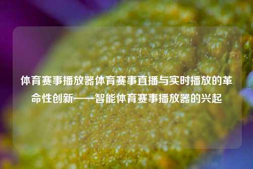 体育赛事播放器体育赛事直播与实时播放的革命性创新——智能体育赛事播放器的兴起