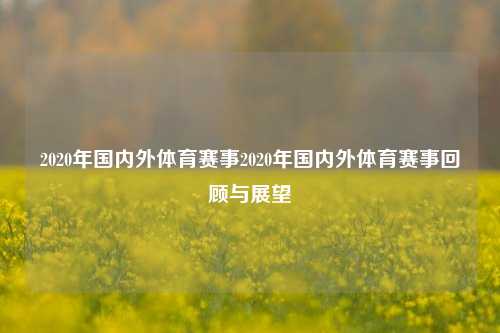 2020年国内外体育赛事2020年国内外体育赛事回顾与展望