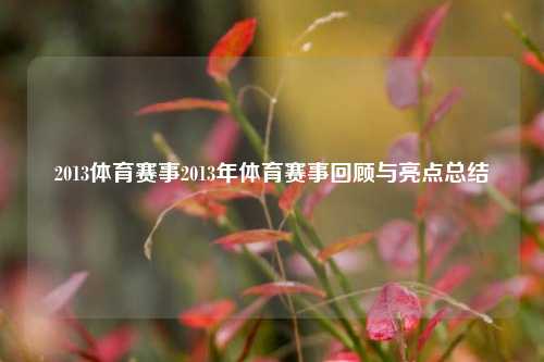 2013体育赛事2013年体育赛事回顾与亮点总结