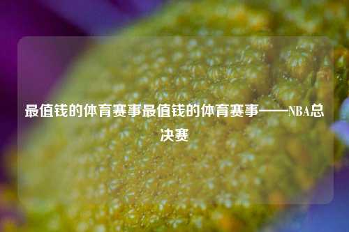 最值钱的体育赛事最值钱的体育赛事——NBA总决赛