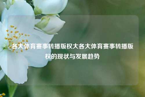 各大体育赛事转播版权大各大体育赛事转播版权的现状与发展趋势