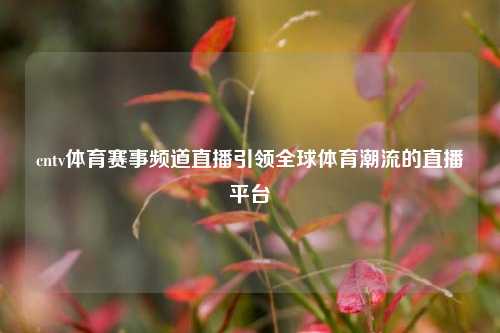 cntv体育赛事频道直播引领全球体育潮流的直播平台