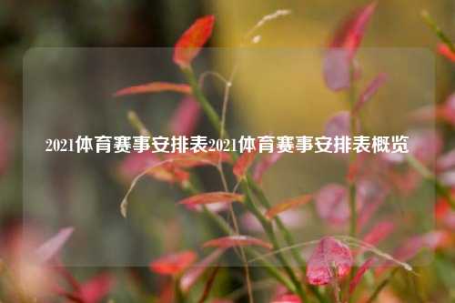 2021体育赛事安排表2021体育赛事安排表概览
