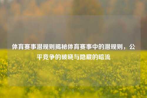 体育赛事潜规则揭秘体育赛事中的潜规则，公平竞争的破晓与隐藏的暗流