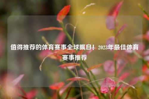 值得推荐的体育赛事全球瞩目！2023年最佳体育赛事推荐