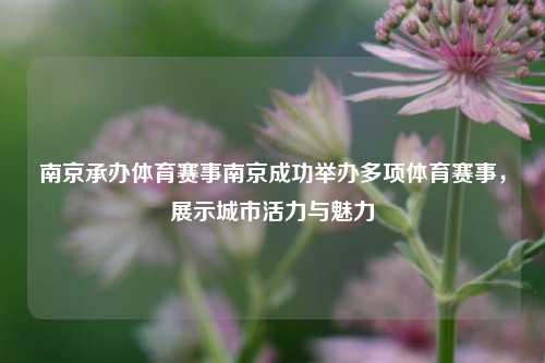 南京承办体育赛事南京成功举办多项体育赛事，展示城市活力与魅力