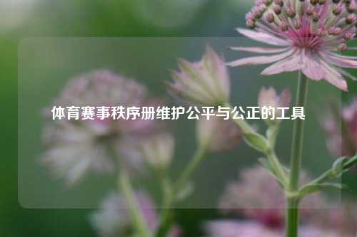体育赛事秩序册维护公平与公正的工具