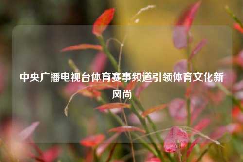 中央广播电视台体育赛事频道引领体育文化新风尚