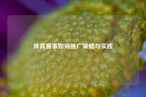 体育赛事如何推广策略与实践