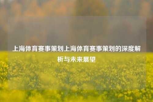 上海体育赛事策划上海体育赛事策划的深度解析与未来展望