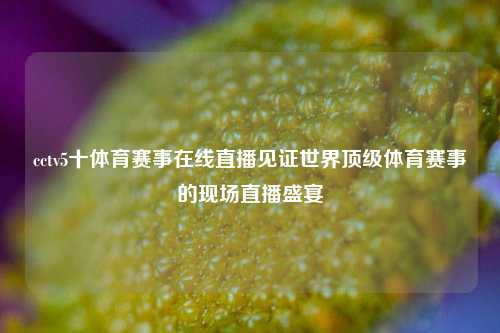 cctv5十体育赛事在线直播见证世界顶级体育赛事的现场直播盛宴