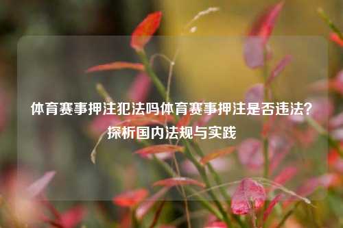体育赛事押注犯法吗体育赛事押注是否违法？探析国内法规与实践