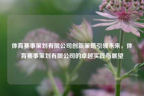 体育赛事策划有限公司创新策略引领未来，体育赛事策划有限公司的卓越实践与展望