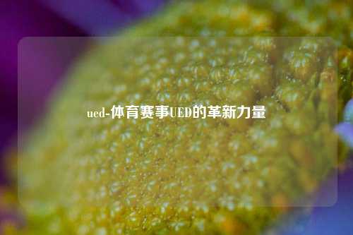 ued-体育赛事UED的革新力量